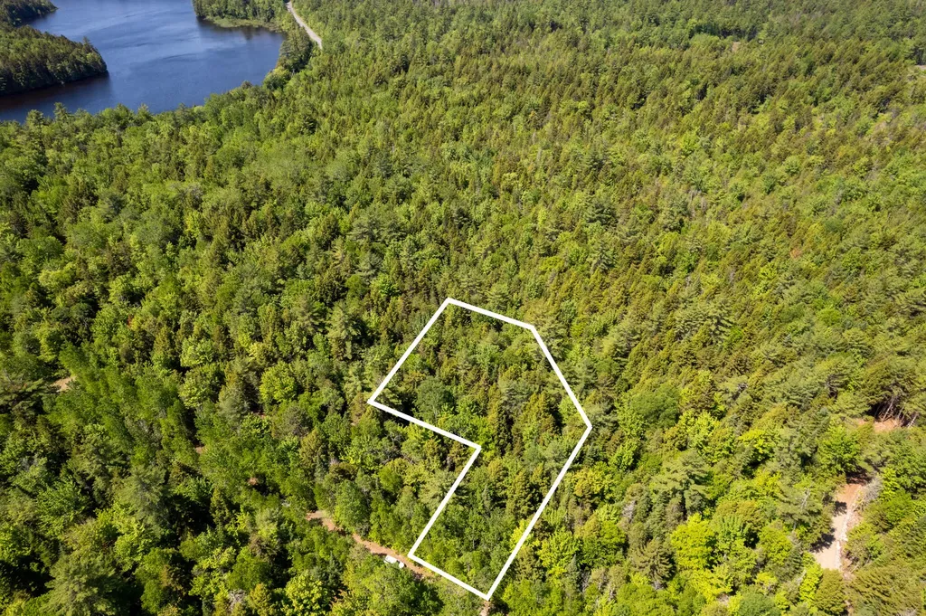 21 Hasbro Road Millinocket ME 04462