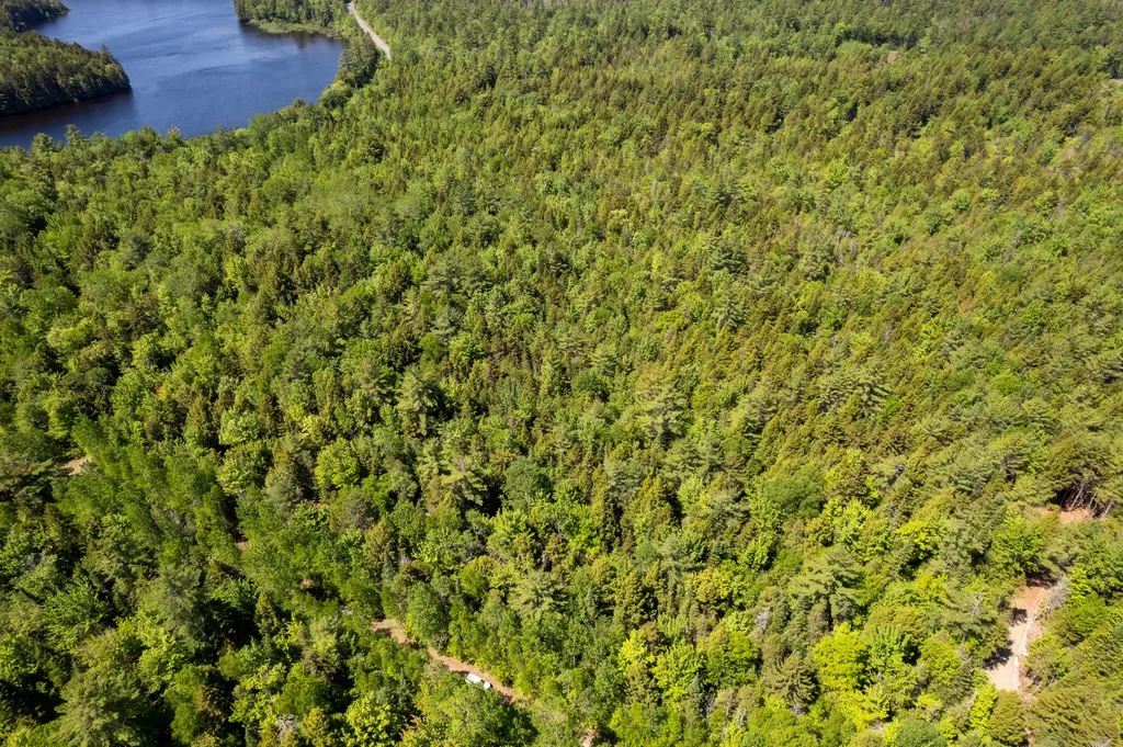 21 Hasbro Road Millinocket ME 04462