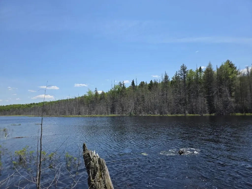L 13 & 15 Bartlett Road Springfield ME 04487
