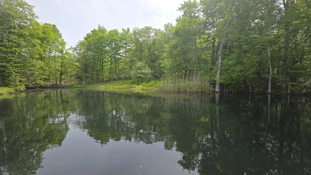 Lot 17 E Thorndike Road Thorndike ME 04986