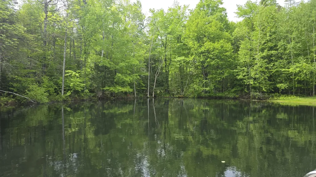 Lot 17 E Thorndike Road Thorndike ME 04986
