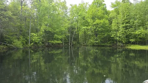 Lot 17 E Thorndike Road Thorndike ME 04986