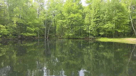 Lot 17 E Thorndike Road Thorndike ME 04986