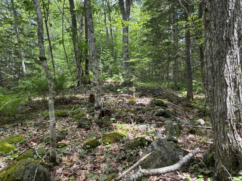 Lot #40 Route 17 (Augusta Road) Washington ME 04574
