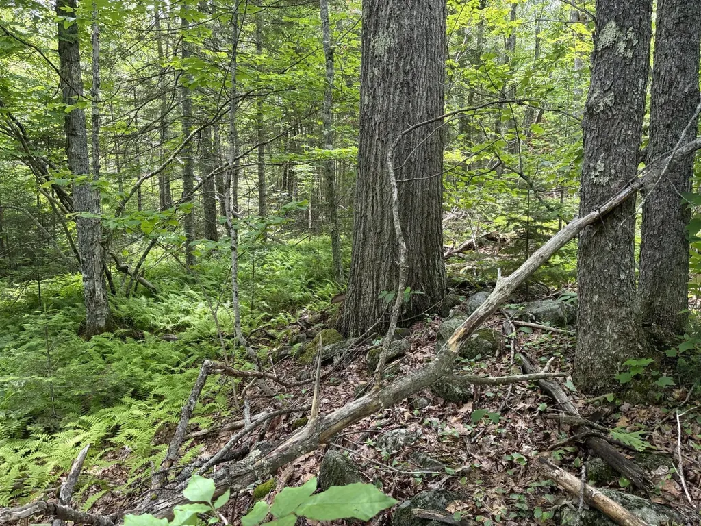 Lot #40 Route 17 (Augusta Road) Washington ME 04574