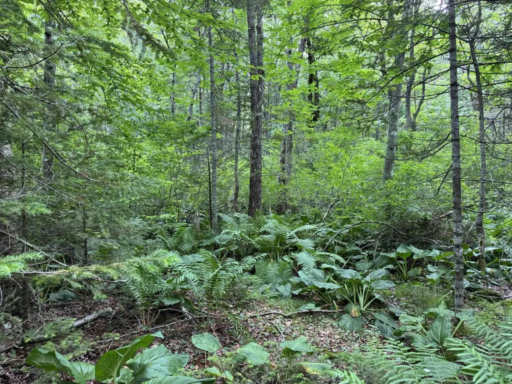 Lot #40 Route 17 (Augusta Road) Washington ME 04574