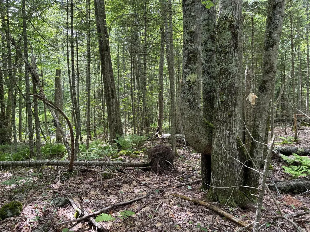 Lot #40 Route 17 (Augusta Road) Washington ME 04574