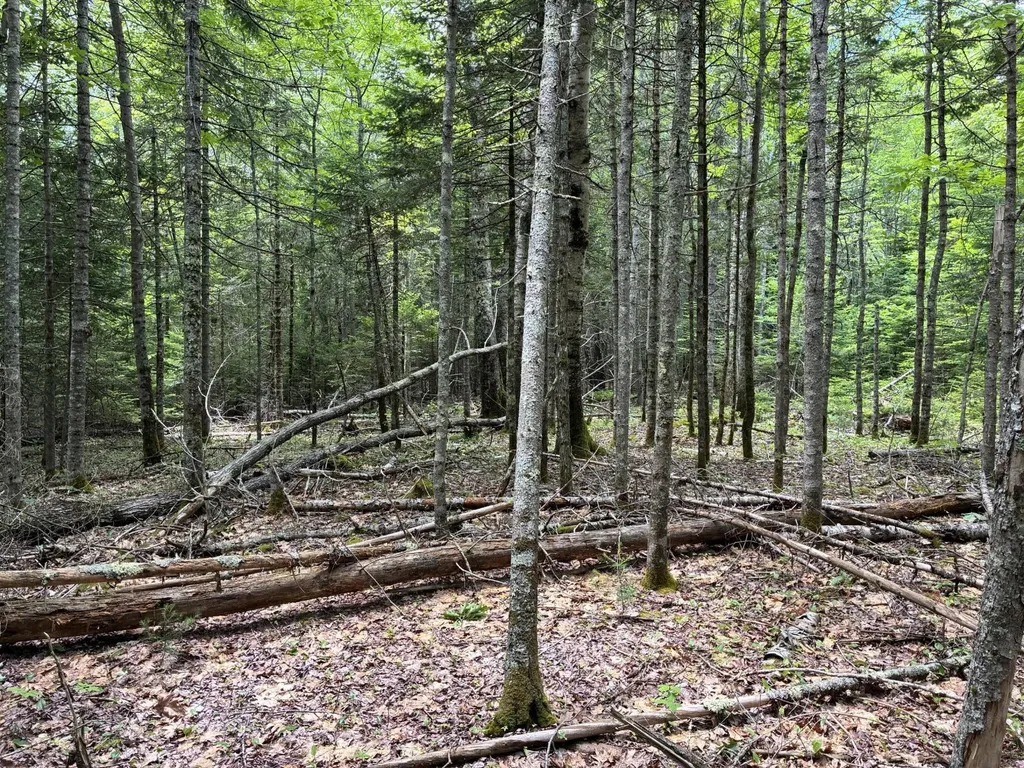 Lot #40 Route 17 (Augusta Road) Washington ME 04574