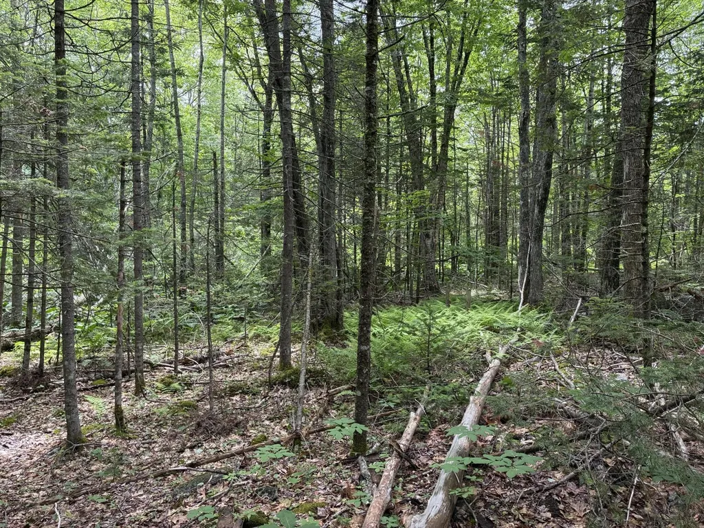 Lot #40 Route 17 (Augusta Road) Washington ME 04574
