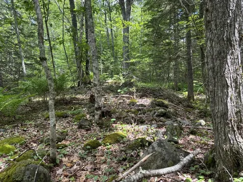 Lot #40 Route 17 (Augusta Road) Washington ME 04574