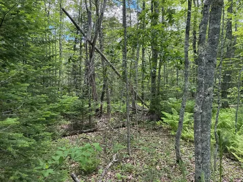 Lot #40 Route 17 (Augusta Road) Washington ME 04574