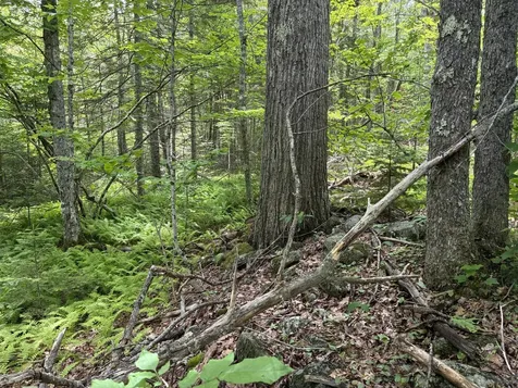 Lot #40 Route 17 (Augusta Road) Washington ME 04574