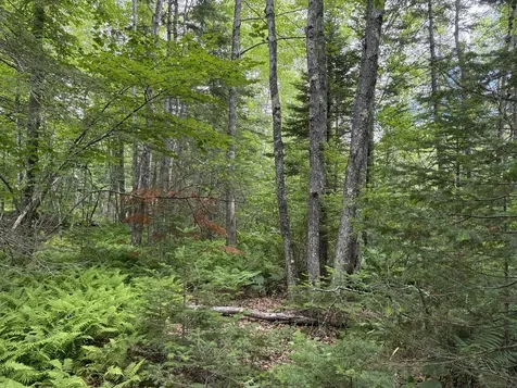 Lot #40 Route 17 (Augusta Road) Washington ME 04574