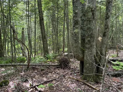 Lot #40 Route 17 (Augusta Road) Washington ME 04574
