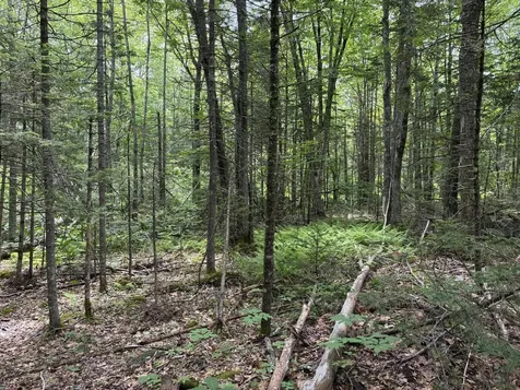 Lot #40 Route 17 (Augusta Road) Washington ME 04574