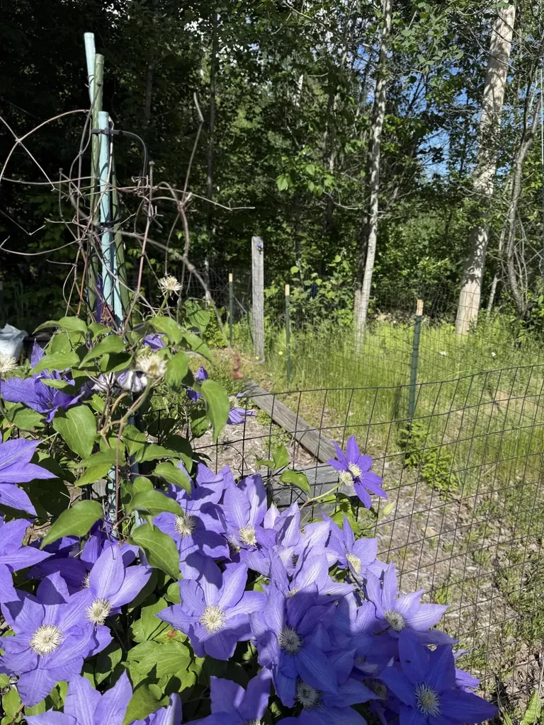 157 Durgin Road Paris ME 04281