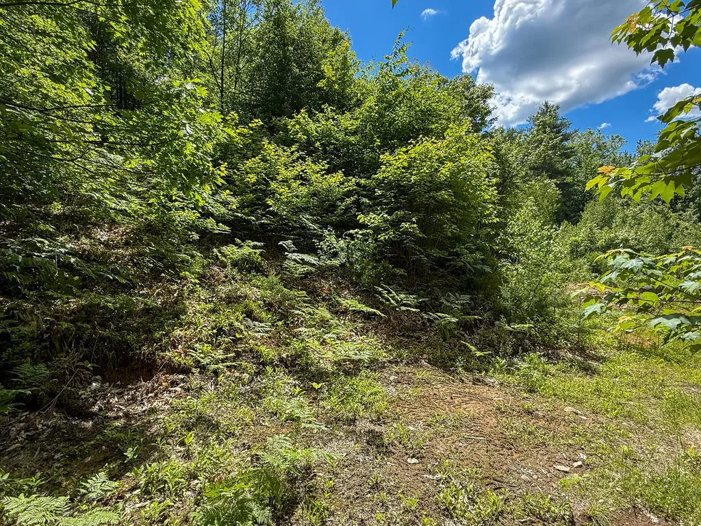 Lot 9 Wyman Hill Road Rumford ME 04276