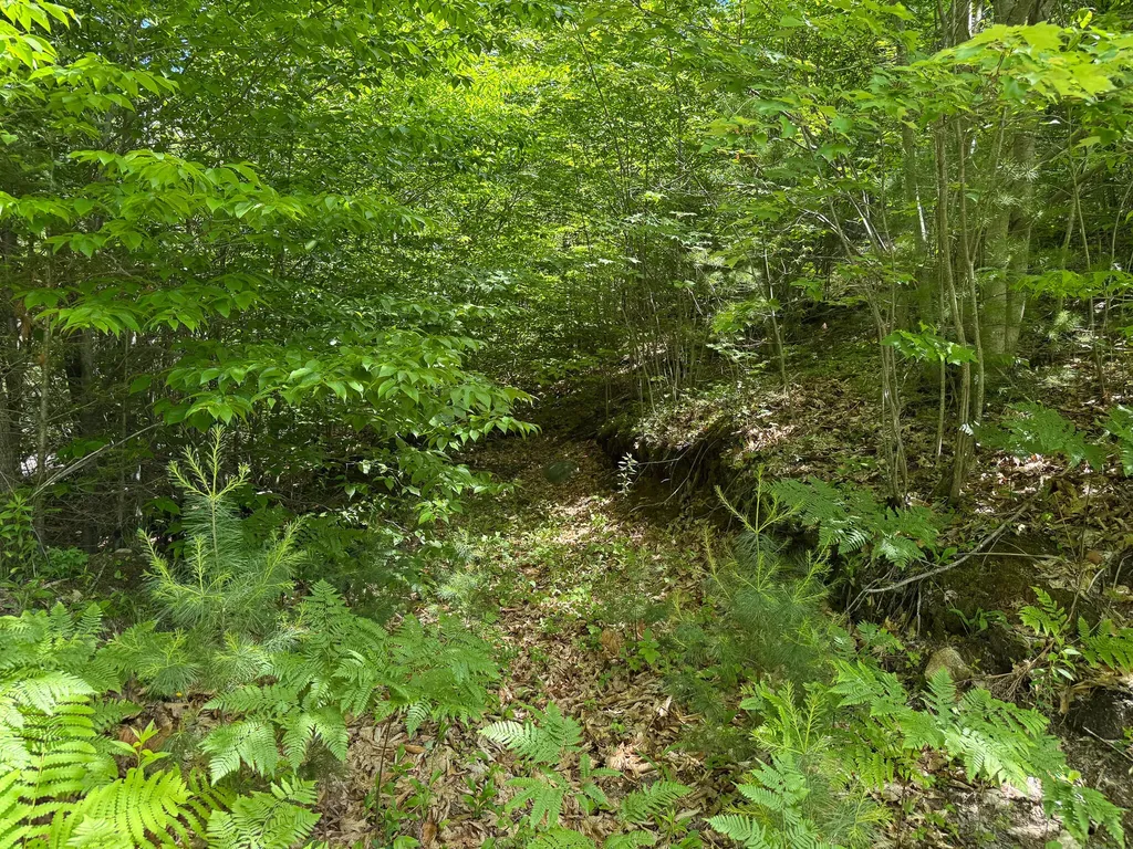 Lot 9 Wyman Hill Road Rumford ME 04276
