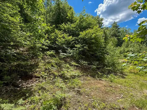 Lot 9 Wyman Hill Road Rumford ME 04276