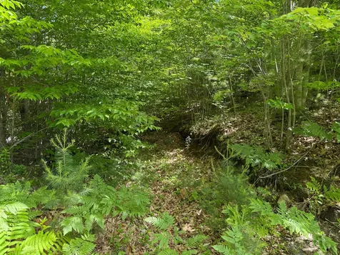 Lot 9 Wyman Hill Road Rumford ME 04276