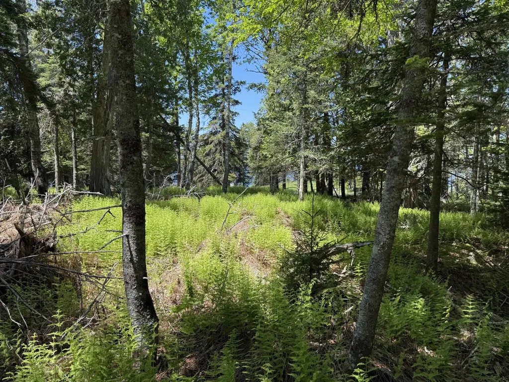 18/19C W West Bay Road Islesboro ME 04848