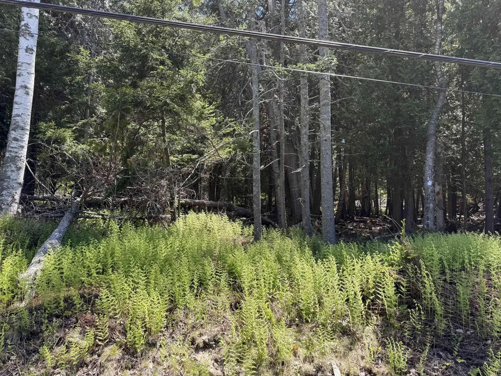 18/19C W West Bay Road Islesboro ME 04848