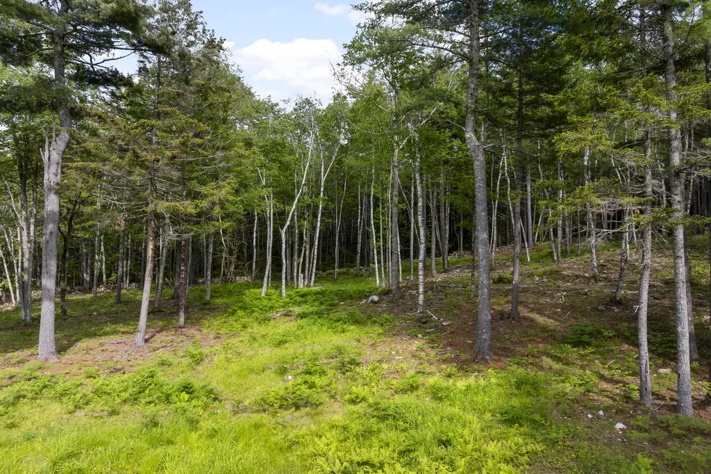 417 Lower Round Pond Road Bristol ME 04539