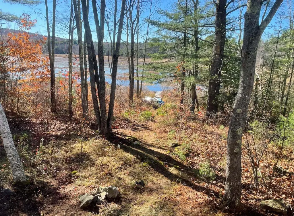 208 Onamor Drive Newfield ME 04095