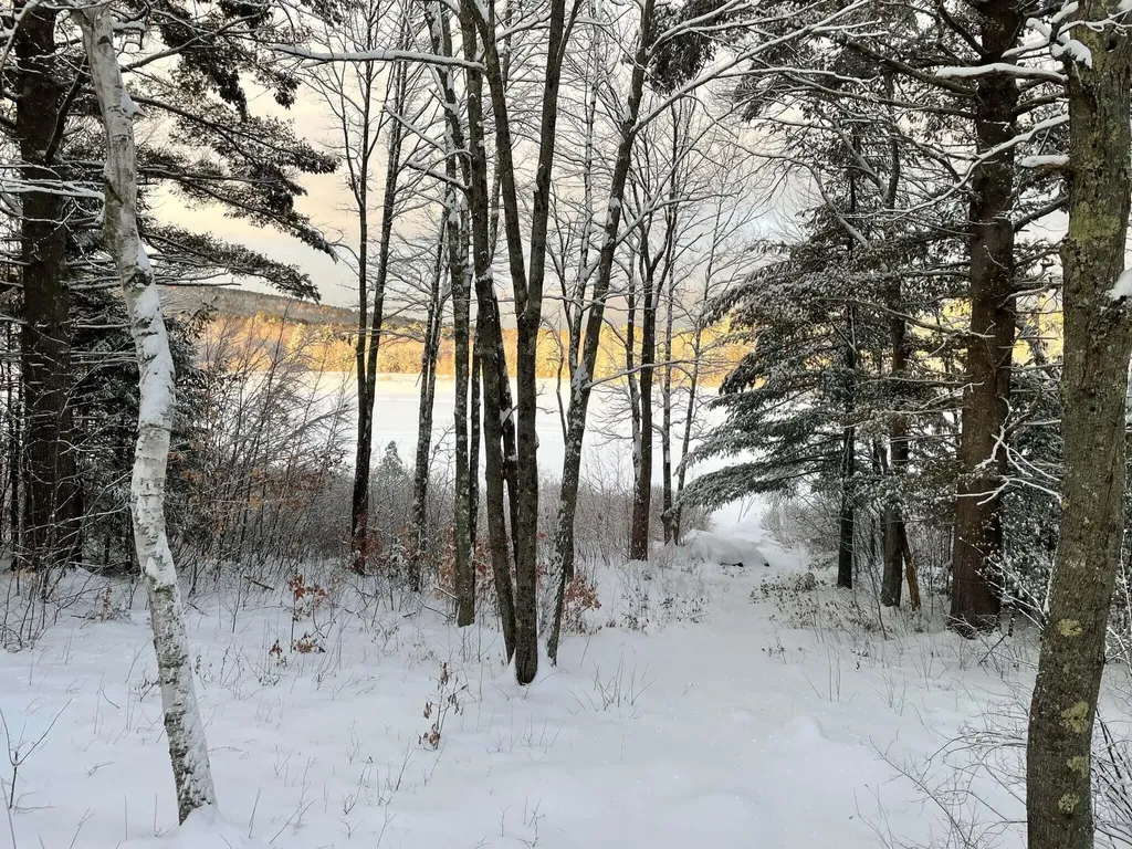 208 Onamor Drive Newfield ME 04095