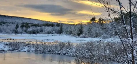 208 Onamor Drive Newfield ME 04095