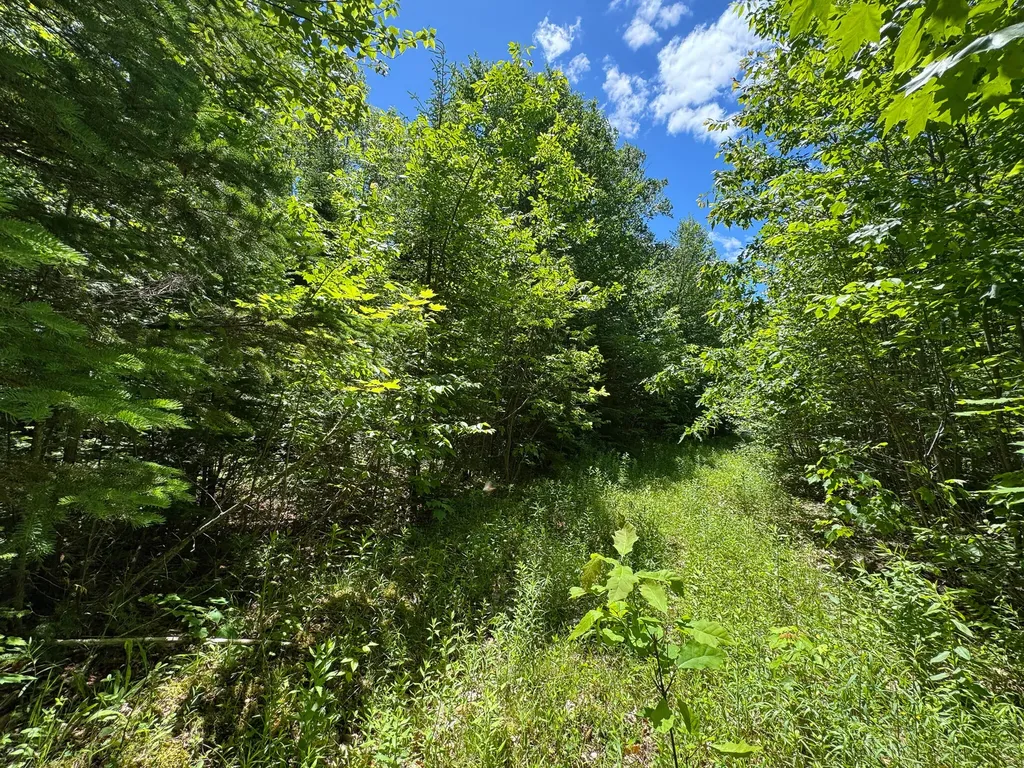 B Lookout Lane Springfield ME 04487