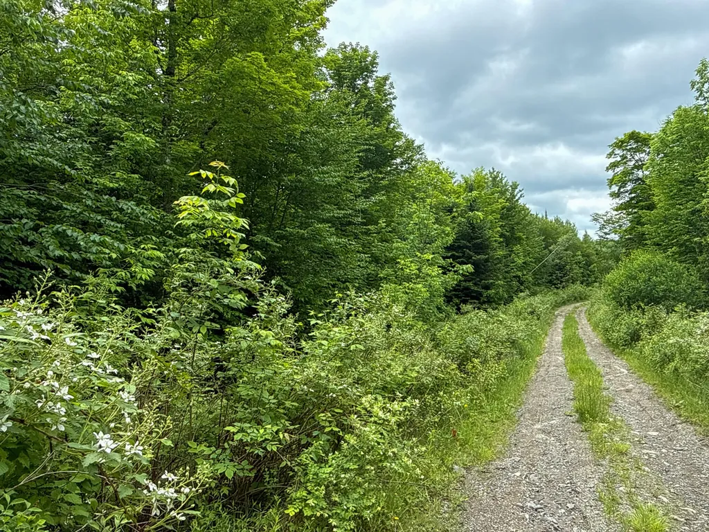 B Lookout Lane Springfield ME 04487