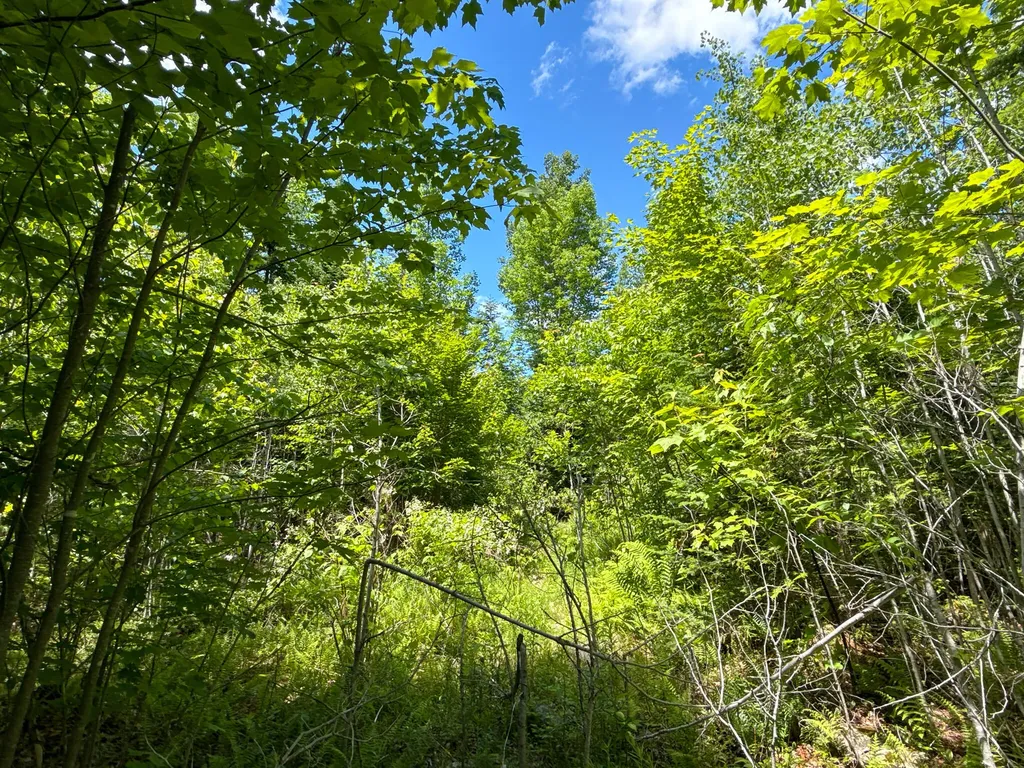 B Lookout Lane Springfield ME 04487