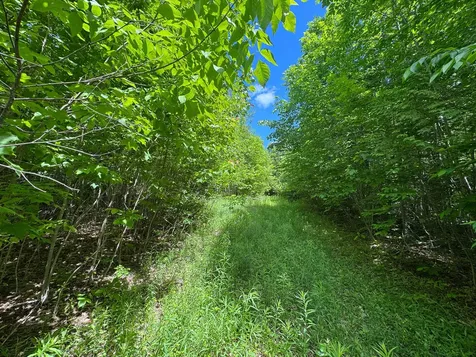 B Lookout Lane Springfield ME 04487