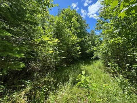 B Lookout Lane Springfield ME 04487