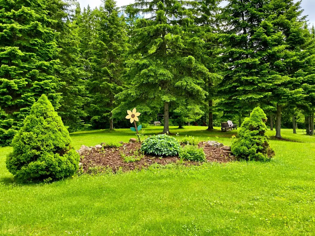 1315 New Sweden Road New Sweden ME 04762