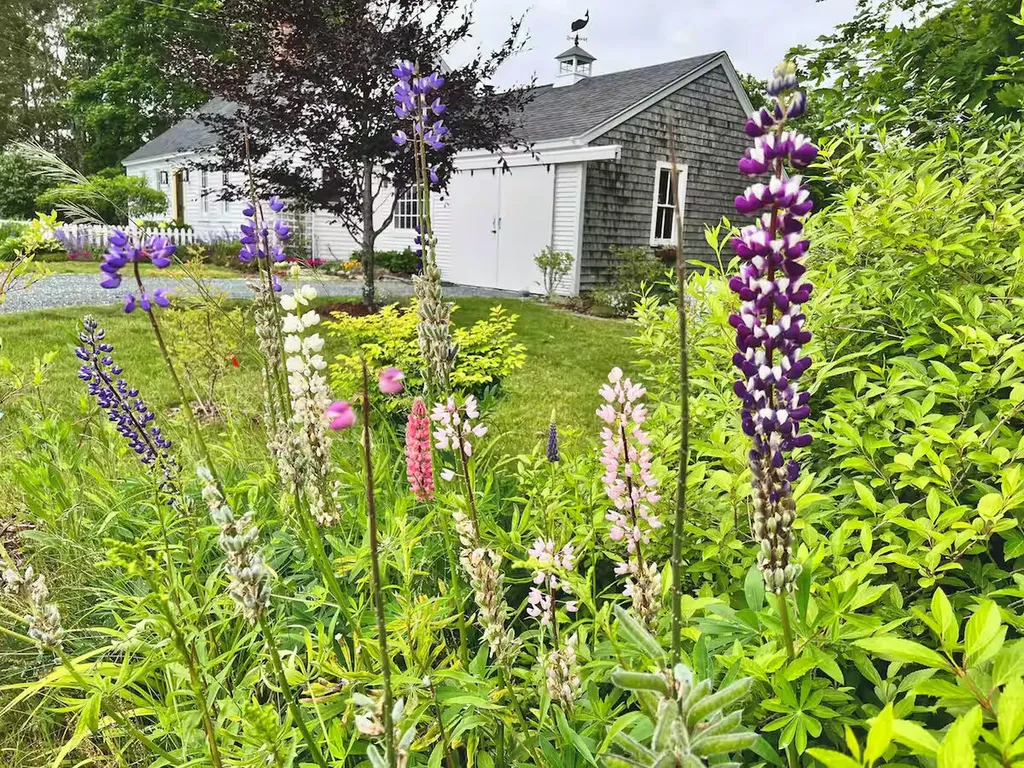 334 Castine Road Castine ME 04421
