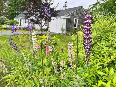 334 Castine Road Castine ME 04421