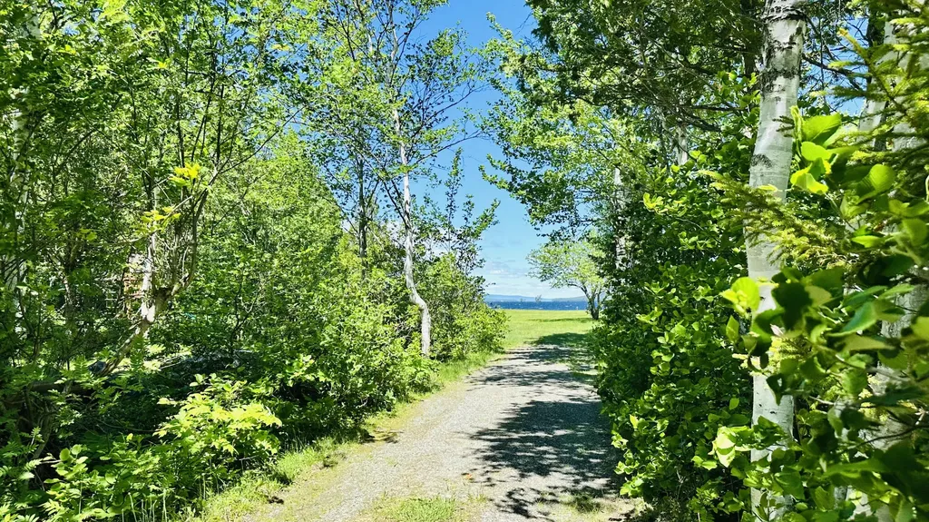 15 N Ridge Road Beaver Cove ME 04441