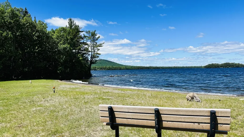 15 N Ridge Road Beaver Cove ME 04441