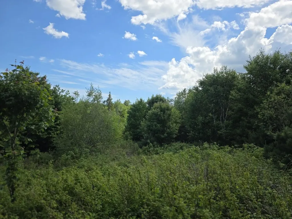 0 E Pleasant River Lake Road Beddington ME 04622
