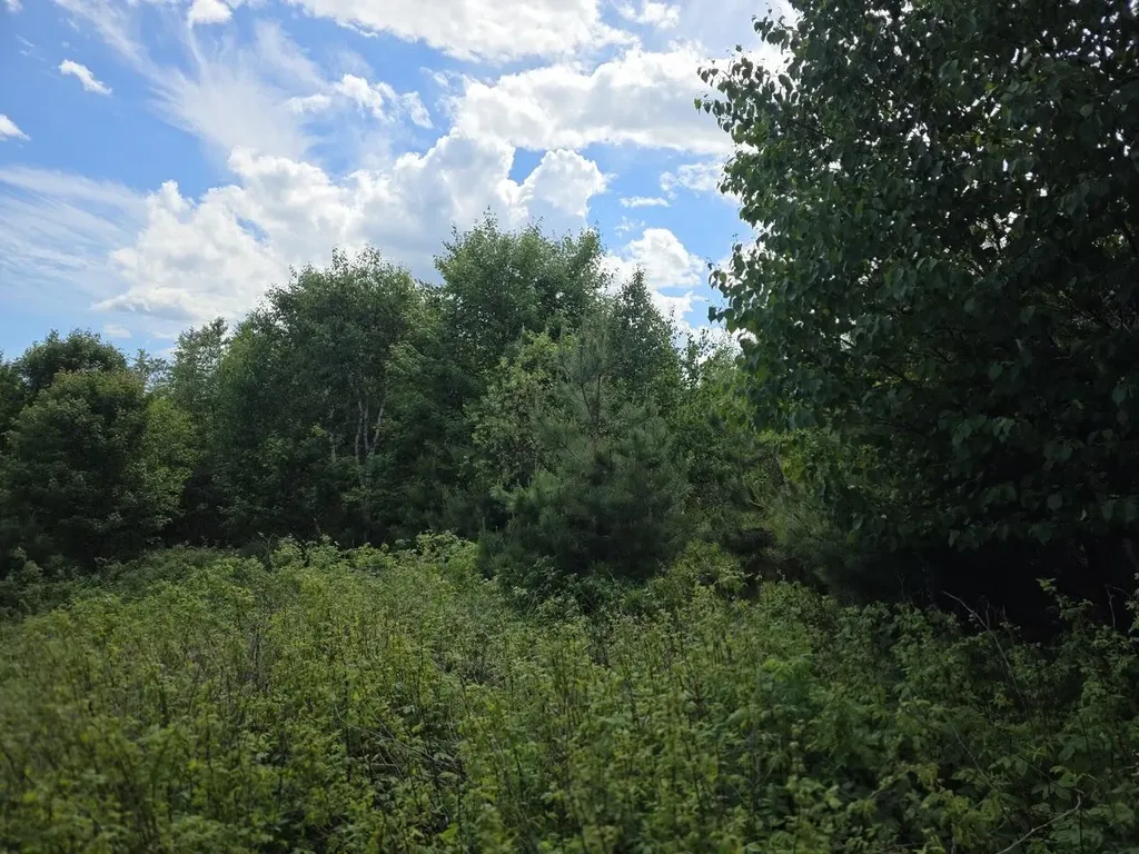0 E Pleasant River Lake Road Beddington ME 04622