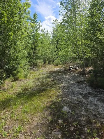 0 E Pleasant River Lake Road Beddington ME 04622