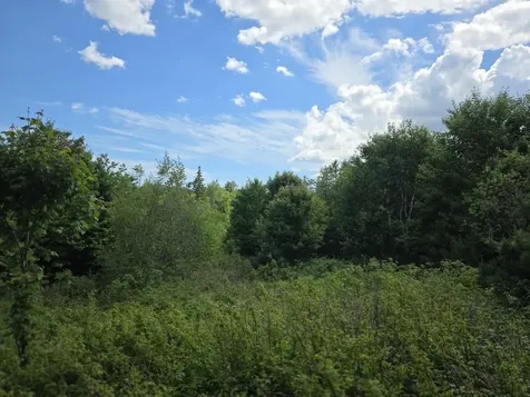 0 E Pleasant River Lake Road Beddington ME 04622