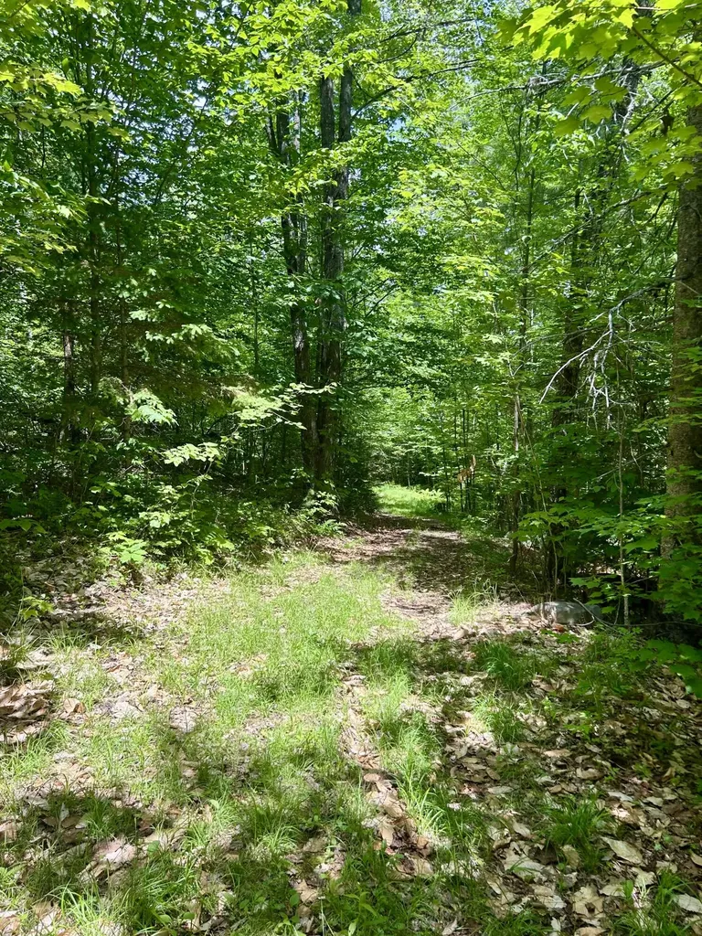 45 Ramsdell Road Freeman Twp ME 04947