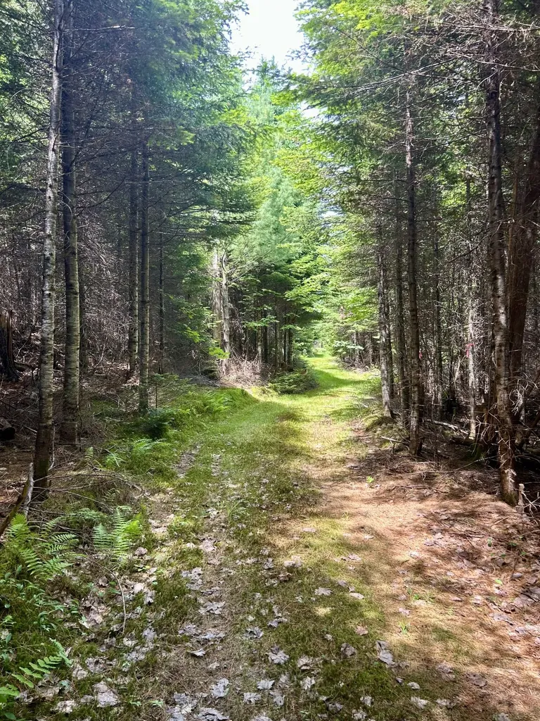 45 Ramsdell Road Freeman Twp ME 04947