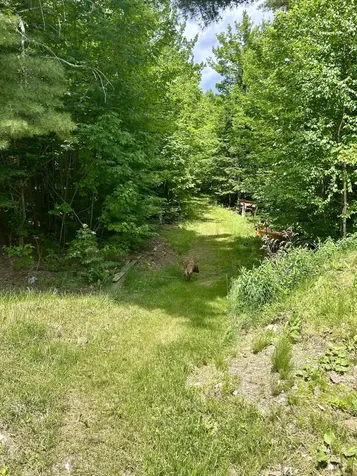 45 Ramsdell Road Freeman Twp ME 04947