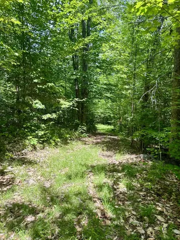 45 Ramsdell Road Freeman Twp ME 04947