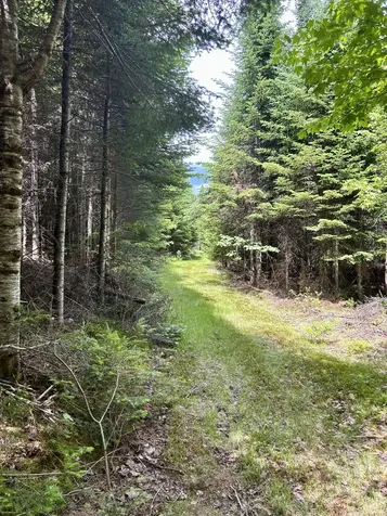 45 Ramsdell Road Freeman Twp ME 04947