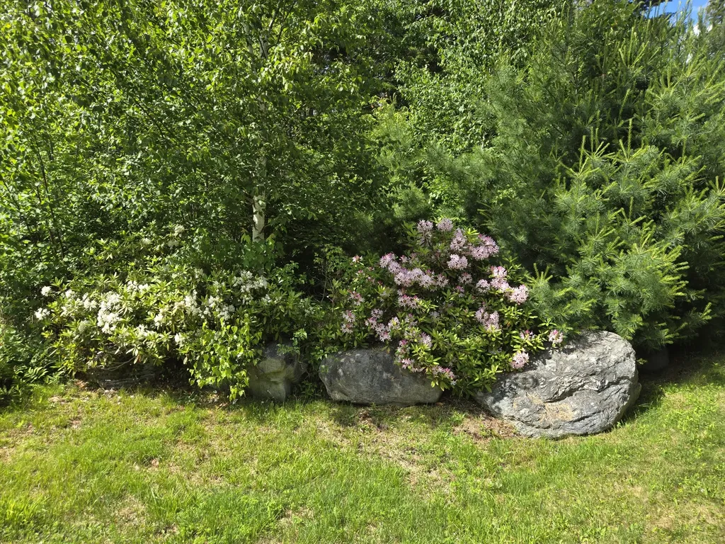 34 Jacob's Way Trenton ME 04605